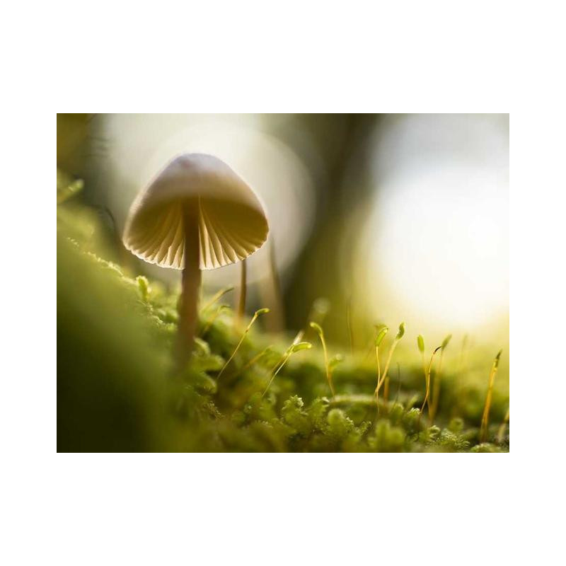 Heavy Duty Aluminum Gloves fr-FR